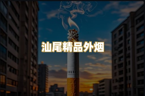 汕尾精品外烟